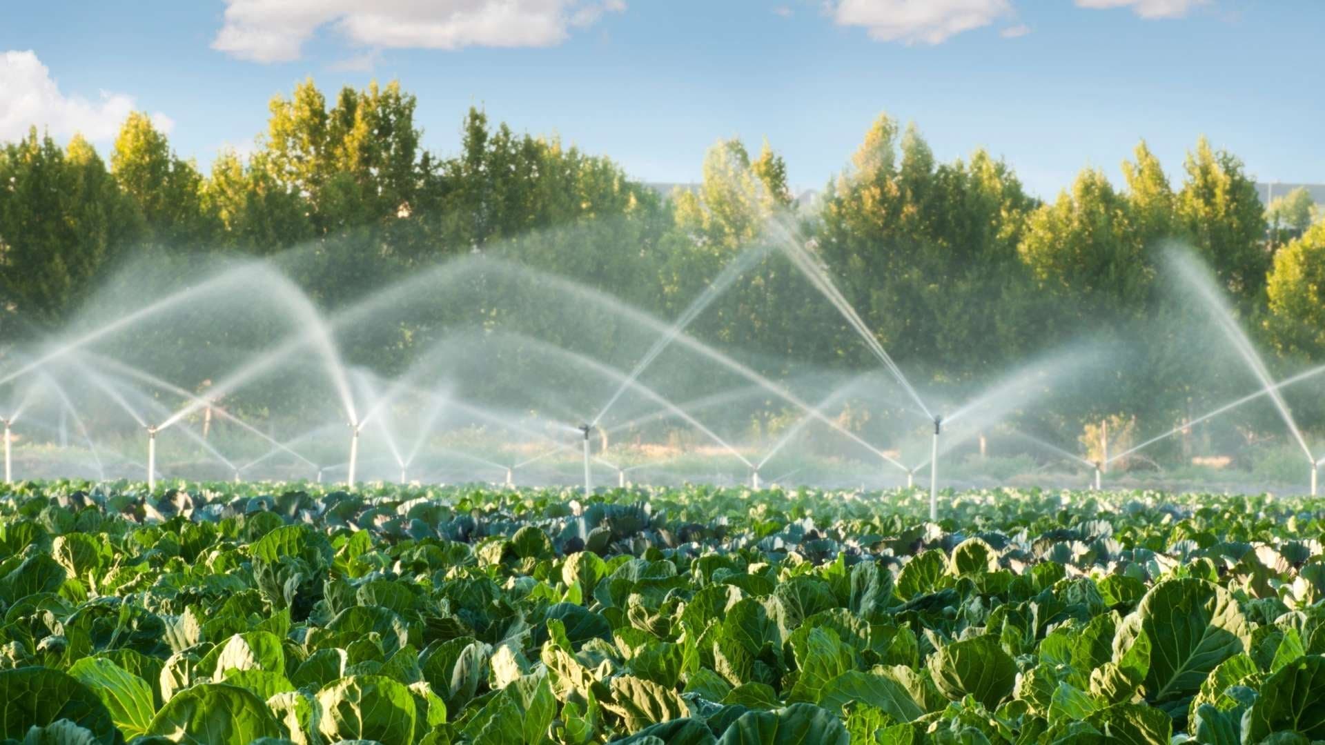 Expert Drainage Services in Springtown , TX with Quality Craftsmanship