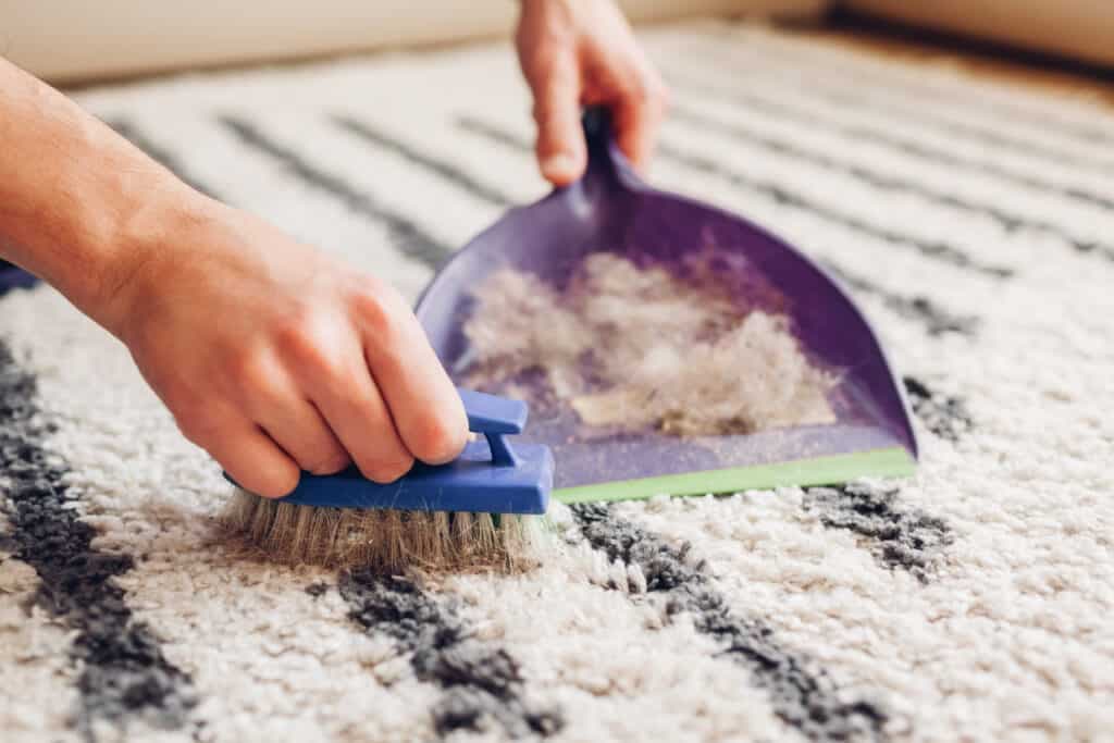 Carpet Cleaning Dubai for Homes, Offices &amp; Retail Spaces