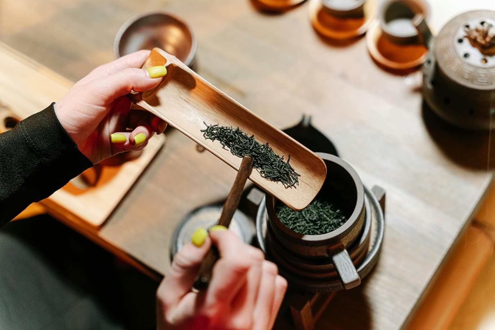 Transform Your Lifestyle with Ayurveda Online Courses