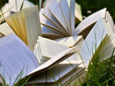 How the Raynes Legacy Series Combines Suspense and Wonder