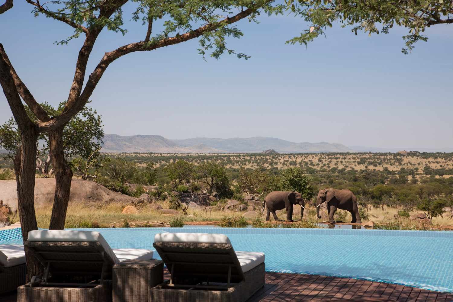 Kenya Safari Tours | Photographic Safaris for Wildlife Enthusiasts