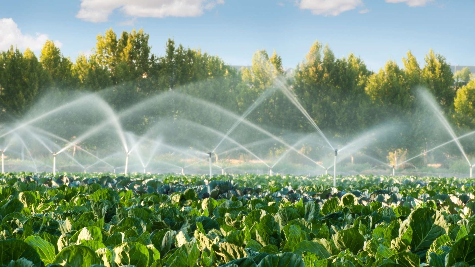 Expert Drainage Services in Springtown , TX with Quality Craftsmanship