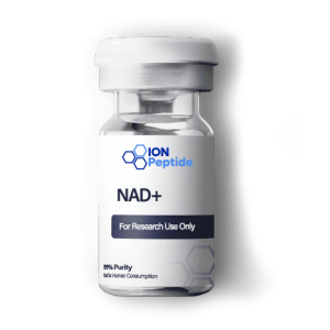 Understanding NAD+ Pathways in Energy Regulation