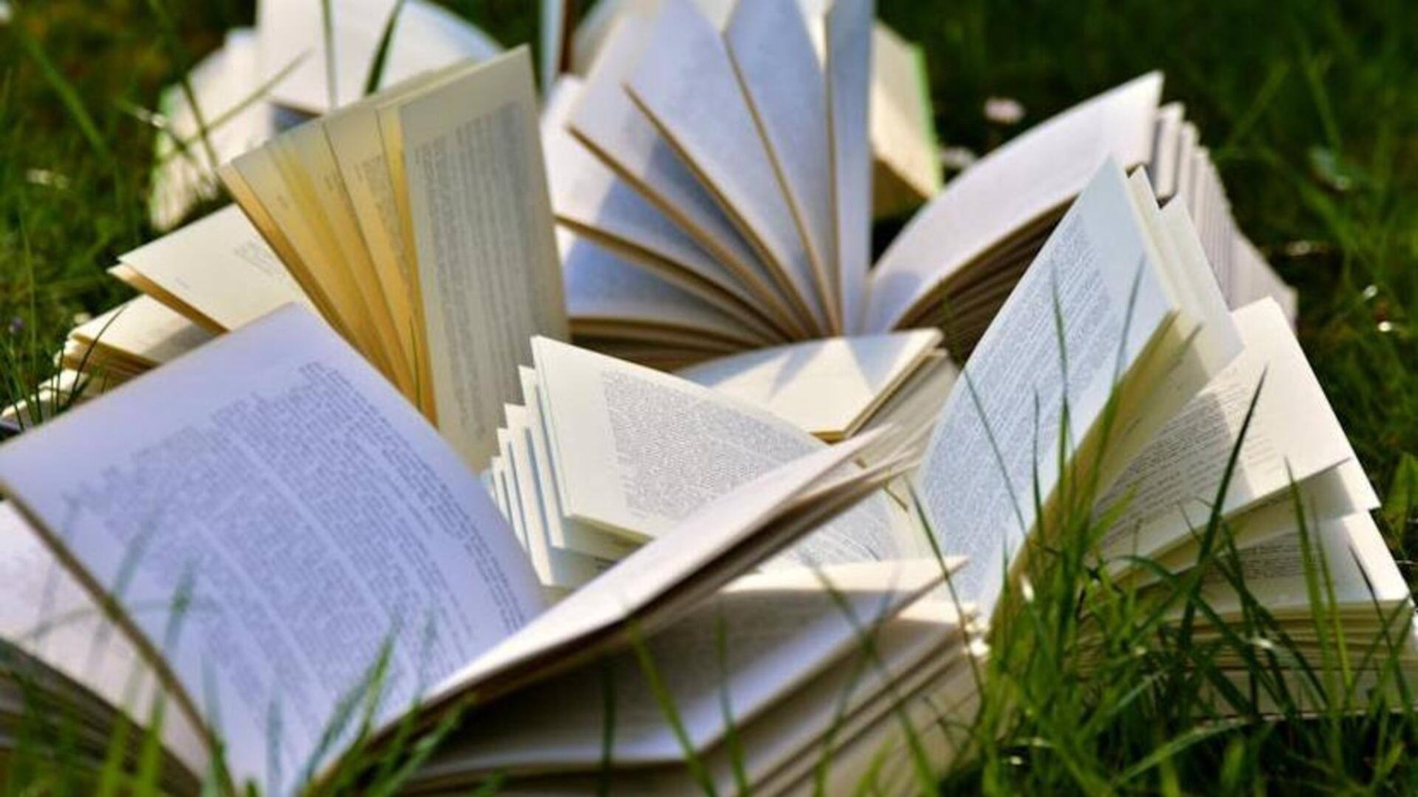 How the Raynes Legacy Series Combines Suspense and Wonder